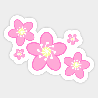 Sakura Cherry Blossom Flower Clusters in White Background Sticker